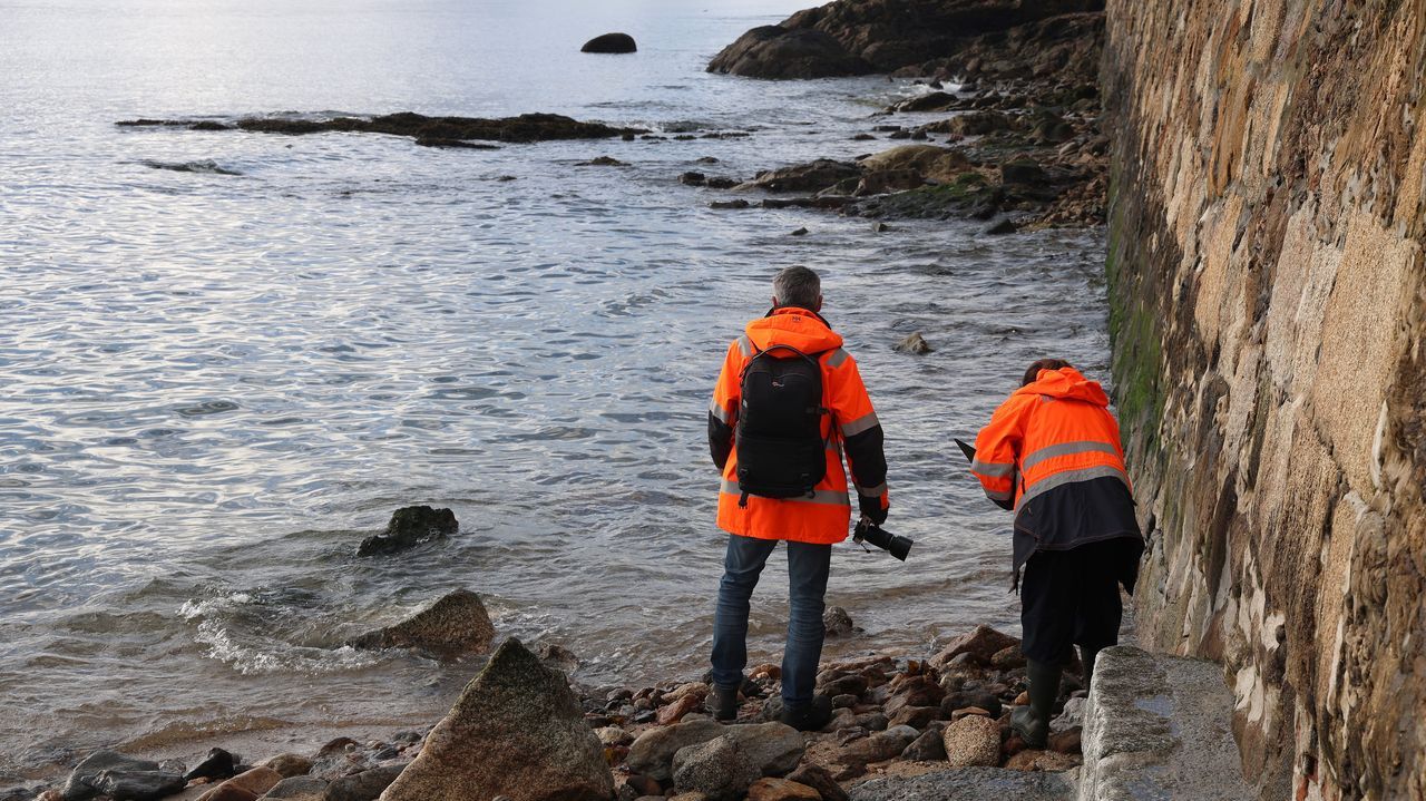 Costas tiene tres meses para presentar un proyecto de recuperación que ponga fin a los vertidos en A Ribeiriña