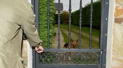 Los setos que rodean la finca posiblemente son un buen aliado para los ladrones.