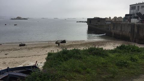 CHEQUEO PLAYA Y PUERTO DE INSUELA DE PALMEIRA