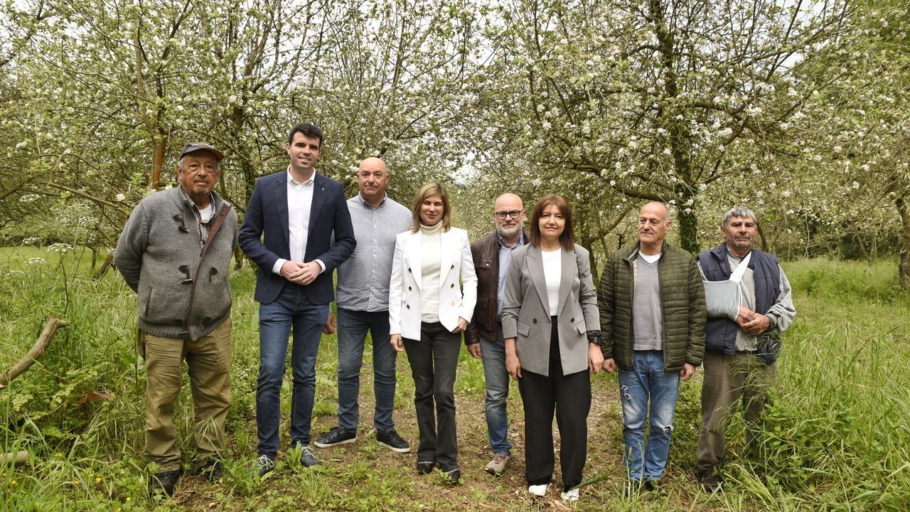 La Ruta das Maceiras en flor traerá en mayo 160 personas al Jerte estradense