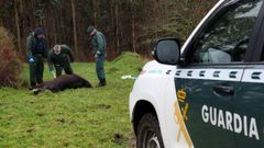 Enrique Laranga denuncia la muerte a tiros de una de sus yeguas en el monte Iroite