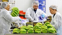 Las instalaciones de Orsero en Mos, donde trabajan treinta empleados, dispone de instalaciones para el envasado de frutas, verduras y hortalizas.
