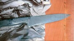 El cuchillo con el que amenazaron al concejal de Urbanismo de Oviedo