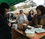 Degustaci�n de lamprea, ca�as y reques�n artesano y puesto de pescado seco y salado