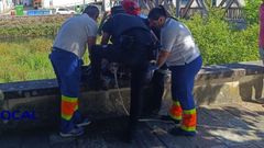 El personal de emergencias ayud� al herido