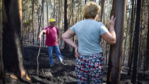 Manuel y María, vecinos de Paradellas, vigilan con aprensión el monte cercano a la aldea en previsión de que rebroten las llamas