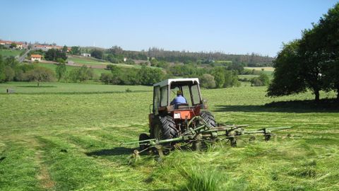 Tractor cortando hierba en una foto de archivo