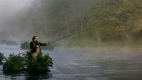 En Ximonde se paralizar�n las capturas de salm�n cuando se llege a cuarenta entre este coto, Sinde y Couso