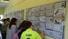 Los estudiantes revisan las fichas de los emigrantes para indagar sobre su historia particular. 