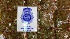 Marihuana confiscada por la Polic�a en una finca en las afueras de Lugones