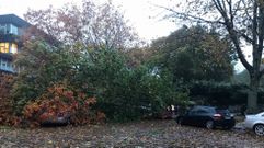 Fuertes rachas de viento, lluvia que no cesa y desperfectos en el �rea de Santiago
