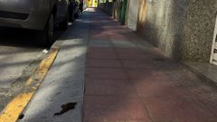 O Barco incluso recurri� a los ni�os, que se�alizaron las cacas con globos, para tratar de concienciar sobre la recogida de los excrementos