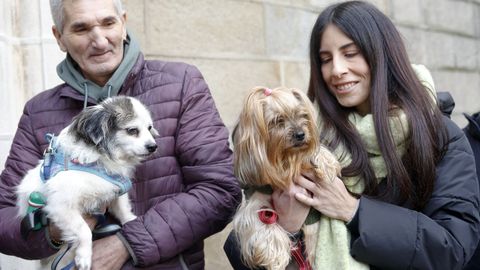 Bendici�n de mascotas en Vilagarc�a