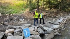 Eladio Santos y Sherezade N��ez visitaron trabajos de regeneraci�n forestal en Vilamart�n de Valdeorras.