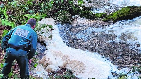 Agentes del Seprona investigan una balsa de purines