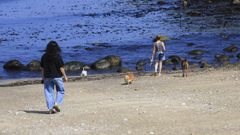 As� es la�playa canina de Bens