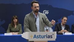El presidente del Partido Popular de Asturias, �lvaro Queipo, preside la reuni�n del Comit� Ejecutivo Auton�mico en la sede del PP