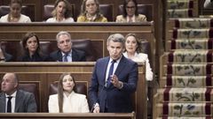 El l�der del PP, Alberto N��ez Feijoo, durante una intervenci�n en el Congreso.