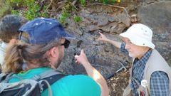 El ge�logo Jos� Ram�n Mart�nez Catal�n (a la derecha, con gorro blanco) muestra un afloramiento rocoso en el municipio de Ribas de Sil