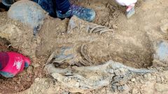 Primeros restos encontrados en la fosa de Pilo�a