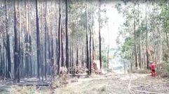 La tormenta de rayos provoc� en Santiago un incendio en el gasoducto Tui-Ribadeo