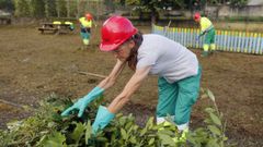 Operarios municipales trabajando este viernes en el jardn del CEIP Plurilinge de Covas