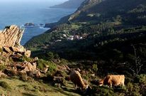 Vista de San Andr�s de Teixido, uno de los mayores reclamos tur�sticos del norte coru��s. 