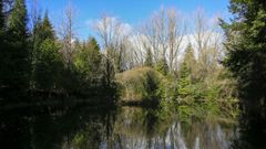 Los Lagos de Teixeiro, un paraje natural especial a solo unos minutos de Lugo
