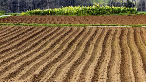 Imagen de archivo de un campo arado