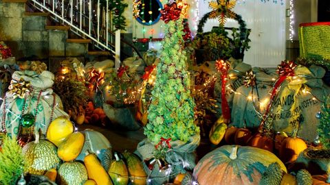 The Garden Molleda, decorado para las navidades