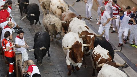 Los toros de la ganader�a Fuente Ymbro recorren la Cuesta de Santo Domingo