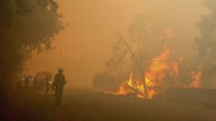 Incendio forestal, el pasado septiembre, en la parroquia de Front�n, junto al Ca��n del Sil.