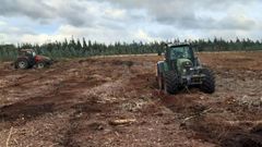 Trabajos promovidos por el Obispado de Mondoedo-Ferrol en montes del municipio de Ourol.