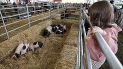 Edici�n del 2022 de la Feira de Razas Aut�ctonas de A Mari�a