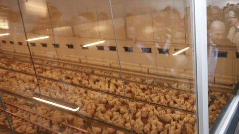 En Friol funcionan proyectos a gran escala, como el de Coren (en la foto)