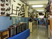 Las paredes del centro educativo almacenan 4.000 piezas. 