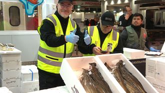 La autodenominada patrulla noruega del skrei, en una visita a Mercamadrid. 