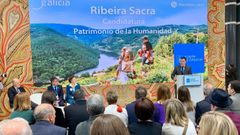 Presentaci�n p�blica de la candidatura de la Ribeira Sacra a patrimonio de la humanidad a cargo del conselleiro de Cultura, Rom�n Rodr�guez, en la �ltima edici�n de la feria tur�stica Fitur en Madrid