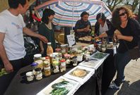 La feria de intercambio de semillas de Mosteiro alcanz� el domingo su tercera edici�n. 