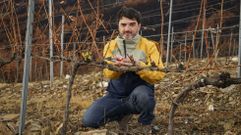 Julin Palacios, en un viedo afectado por el fuego en Vilamartn de Valdeorras.