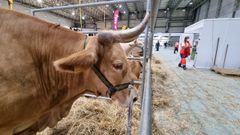 Diversas razas aut�tonas estuvieron persentes en Expolugo