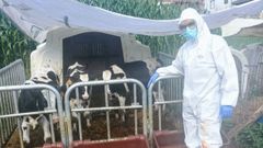 Un facultativo veterinario de Medio Rural trabajando.