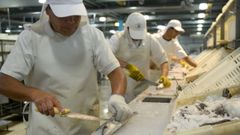 Imagen de archivo de una planta de procesado de productos pesqueros en Argentina