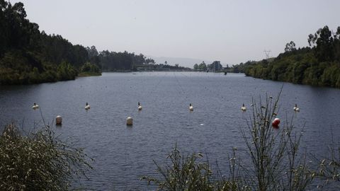Embalse de O Pontillón de Castro este viernes al 100 % de su capacidad, 1,85 hectómetros cúbicos.