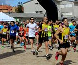 Los mayores recorrieron un itinerario de once kil�metros de longitud.