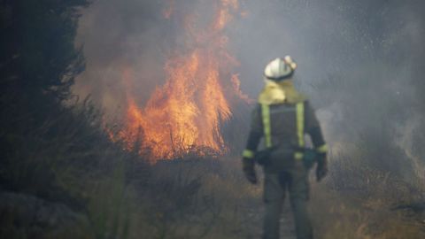 Cuatro brigadas tuvieron que intervenir en el fuego que provoc� a finales de julio