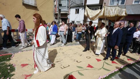 Alfombras florales de Ares