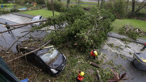 Cae un rbol de grandes dimensiones sobre cuatro coches en Culleredo