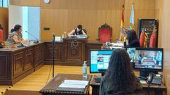 Un momento de la vista, en la que la acusada compareci� por videoconferencia