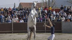Imagen de una edici&oacute;n anterior de la feria caballar